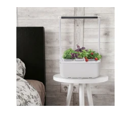 Компактный смарт-сад «iGarden PRO» с подсветкой