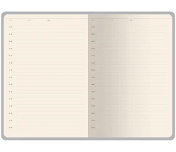 Ежедневник недатированный А5 