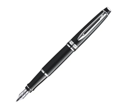 Перьевая ручка Waterman Expert 3, цвет: Black CT, перо: F