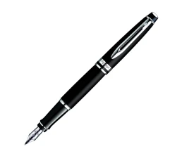 Перьевая ручка Waterman Expert 3, цвет: Matte Black CT, перо: F