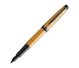 Перьевая ручка Waterman Expert GoldF BLK в подарочной упаковке