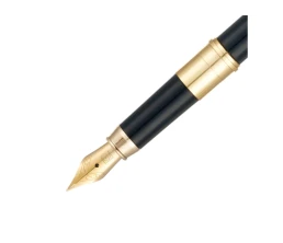 Ручка 2 в 1 шариковая и перьевая Pierre Cardin COMBI PEN, цвет - черный. Упаковка Е