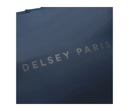 Рюкзак DELSEY, TURENNE SOFT, 26л, темно-синий