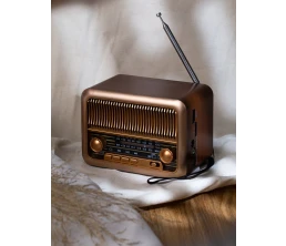 Bluetooth-колонка с радио Beatnik, коричневая