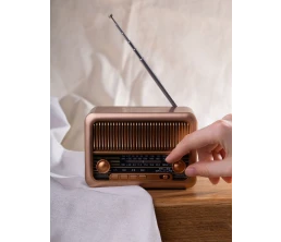 Bluetooth-колонка с радио Beatnik, коричневая