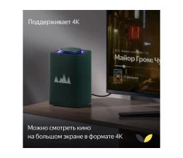 Умная колонка ЯНДЕКС Станция Макс с Алисой, с Zigbee, 65 Вт, цвет: зеленый (YNDX-00053Z)