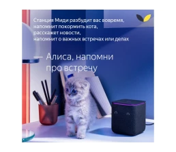 Умная колонка ЯНДЕКС Станция Миди с Алисой, с Zigbee, 24 Вт, цвет: черный (YNDX-00054BLK)