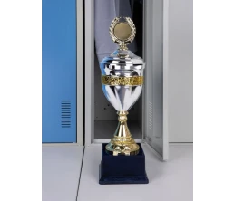Кубок EnterPrize, серебристый