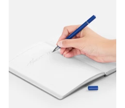 Ручка шариковая и вечный карандаш Diptych, синяя