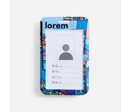 Чехол для пропуска Dreamy Case на заказ