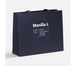 Пакет бумажный Manilla L, синий