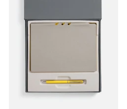 Набор Flexpen Grey, желтый