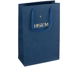 Пакет бумажный Waski S, синий