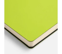 Ежедневник Flex Shall New, недатированный, светло-зеленый