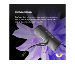 Умная портативная колонка Яндекс Станция Стрит с Алисой, черный (YNDX-00030BLK)