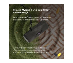 Умная портативная колонка Яндекс Станция Стрит с Алисой, черный (YNDX-00030BLK)