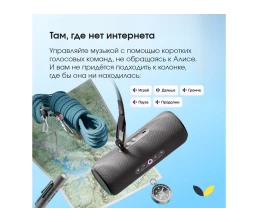 Умная портативная колонка Яндекс Станция Стрит с Алисой, черный (YNDX-00030BLK)