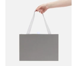 Коробка Regalis, серая