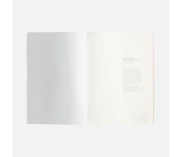Ежедневник Repute, недатированный, серый