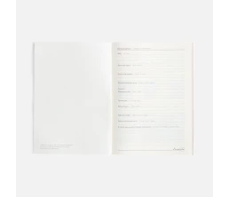 Ежедневник Repute, недатированный, серый