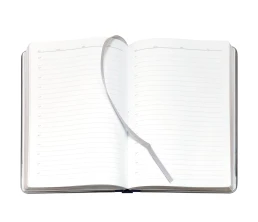 Ежедневник Frame Metal, недатированный, синий