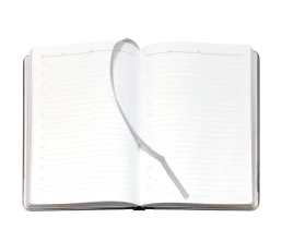 Ежедневник Frame Metal, недатированный, серый