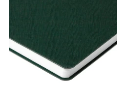 Ежедневник Flexpen Bright, недатированный, зеленый