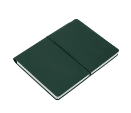 Ежедневник Flexpen Bright, недатированный, зеленый