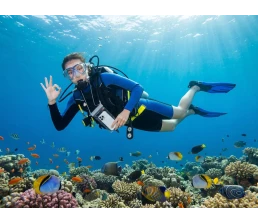 Водонепроницаемый чехол для телефона Aqualock, серый