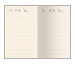 Ежедневник недатированный А5 