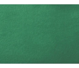 Плед «Нежность» с плечевым ремнем, зеленый