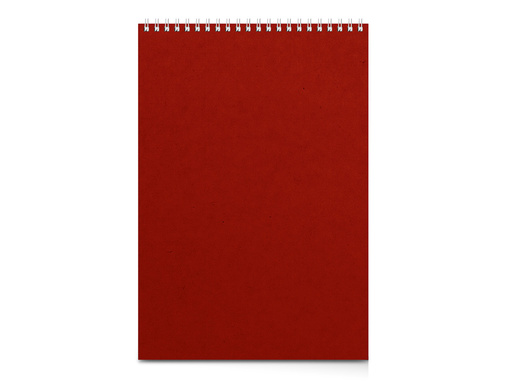 Бизнес - блокнот А4 (198 х 285 мм)  Бизнес - блокнот А4 (198 х 285 мм)