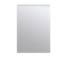 Бизнес - блокнот А4 (198 х 285 мм)  Бизнес - блокнот А4 (198 х 285 мм)