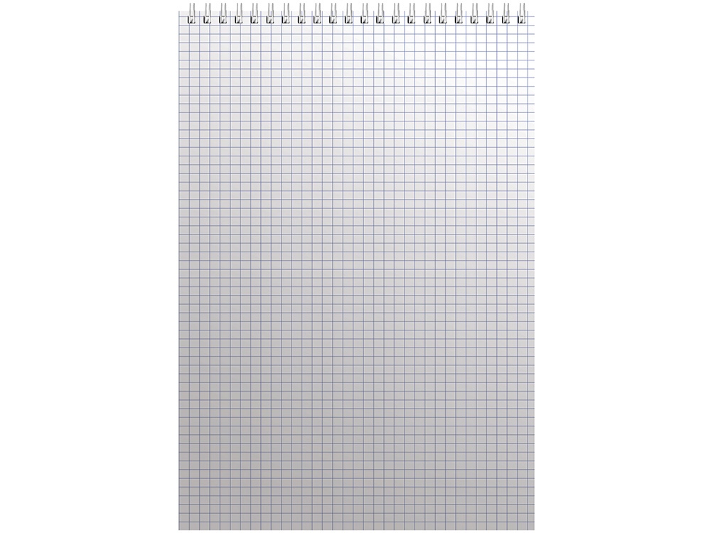 Бизнес - блокнот А4 (198 х 285 мм)  Бизнес - блокнот А4 (198 х 285 мм)