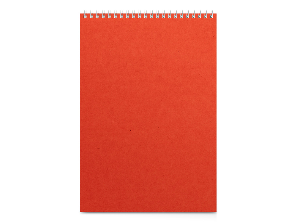 Бизнес - блокнот А4 (198 х 285 мм)  Бизнес - блокнот А4 (198 х 285 мм)