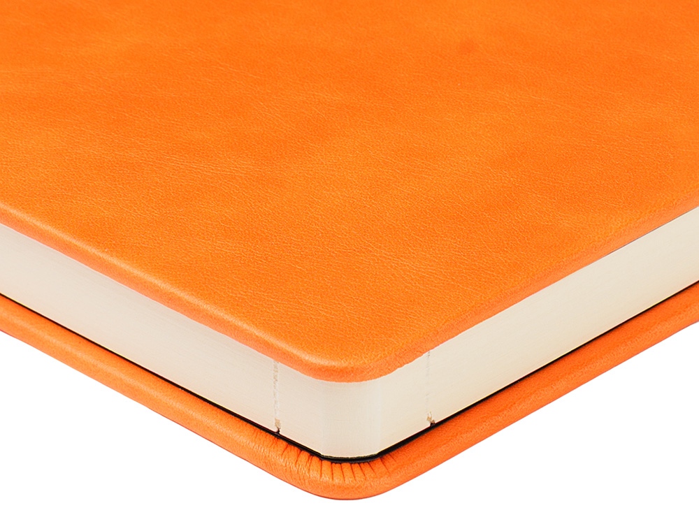 Ежедневник недатированный А5  Ежедневник недатированный А5