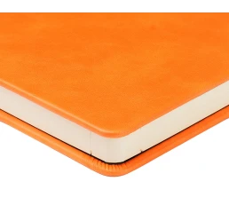 Ежедневник недатированный А5  Ежедневник недатированный А5