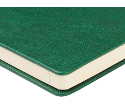 Ежедневник недатированный А5  Ежедневник недатированный А5