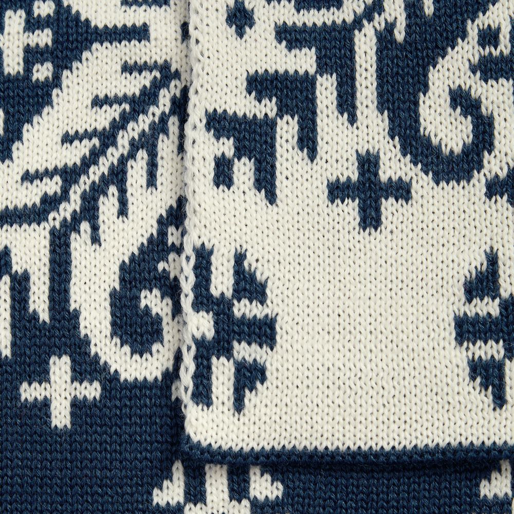 Шарф Wintertude L, синий с белым Шарф Wintertude L, синий с белым