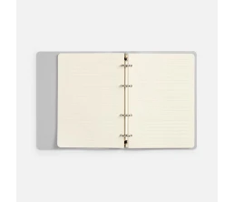 Ежедневник Ringo, недатированный, серебристый