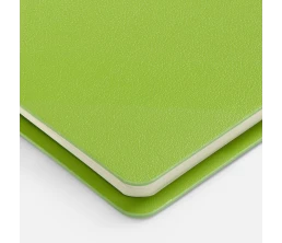 Ежедневник Ringo, недатированный, зеленый