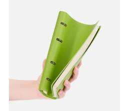 Ежедневник Ringo, недатированный, зеленый