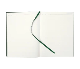 Ежедневник Flat Maxi, недатированный, зеленый, ver.2