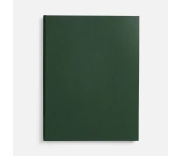 Ежедневник Flat Maxi, недатированный, зеленый, ver.2