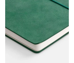 Ежедневник Kuka, недатированный, светло-зеленый