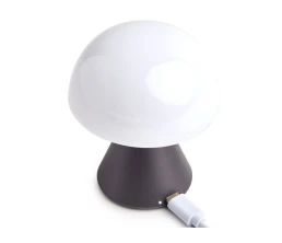 Лампа интерьерная Mina, Gun metal