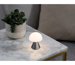 Лампа интерьерная Mina, Gun metal