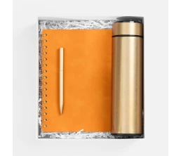 Набор Spiral Gold, оранжевый