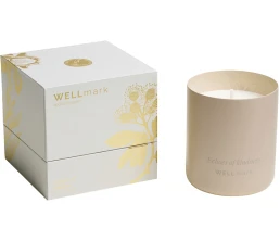 Ароматическая свеча Wellmark 