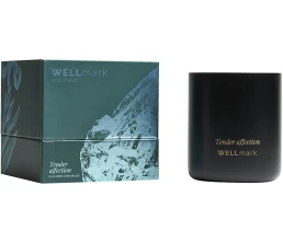 Ароматическая свеча Wellmark 